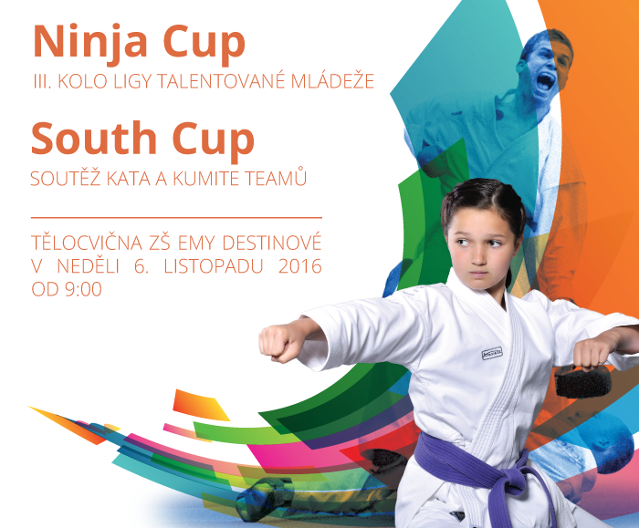 Liga talentů a South Cup týmů