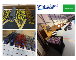 Jihočeský kraj - činnost sportovních svazů